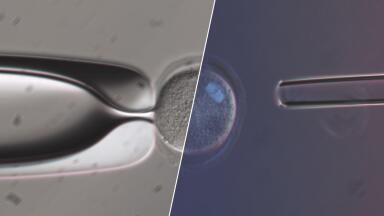True-to-Life - Olympus IVF Solutions